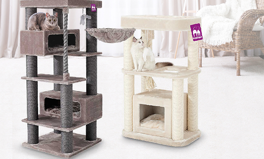 Why are cat trees essential?
